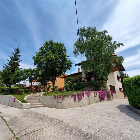 Apartma Breza Kojsko Esterno foto